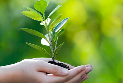 Çevre Yönetim Sistemi